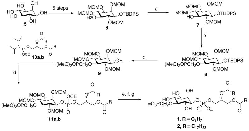 Scheme 1