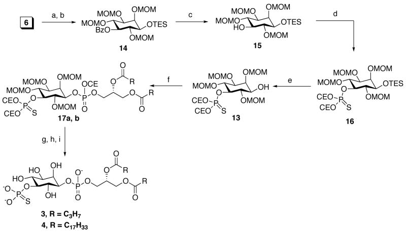 Scheme 3