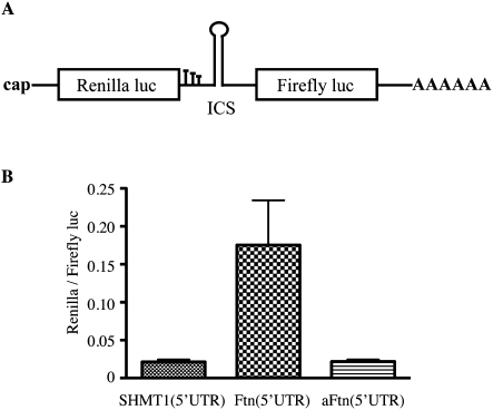 FIGURE 7.