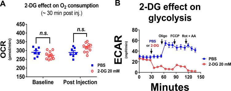 Figure 1—figure supplement 4.