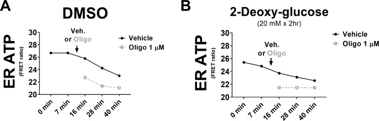 Figure 1—figure supplement 6.