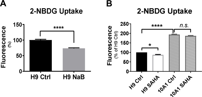 Figure 4—figure supplement 2.