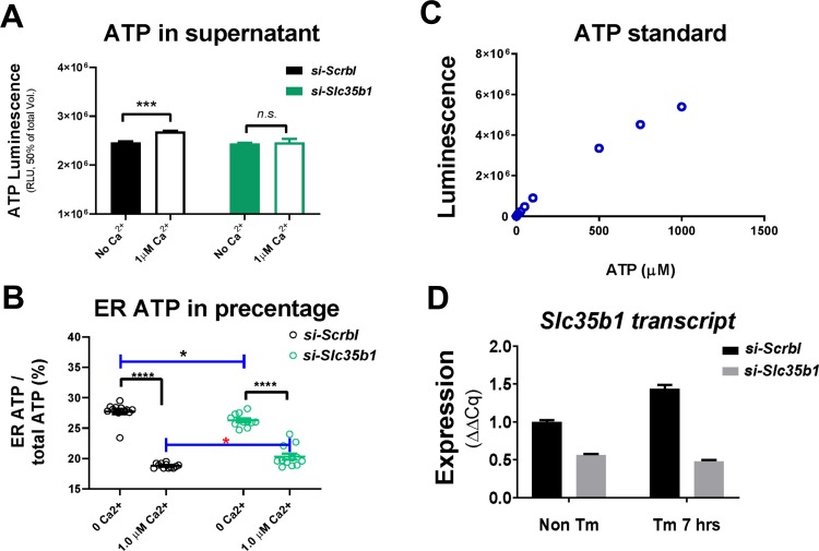 Figure 3—figure supplement 2.