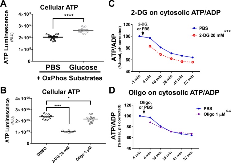 Figure 1—figure supplement 8.