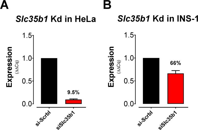 Figure 3—figure supplement 4.