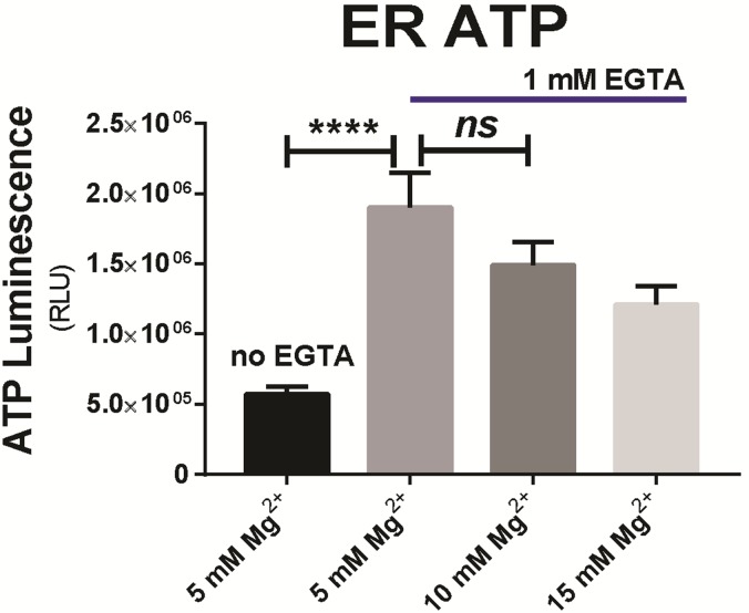 Figure 3—figure supplement 6.