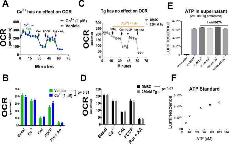 Figure 3—figure supplement 1.