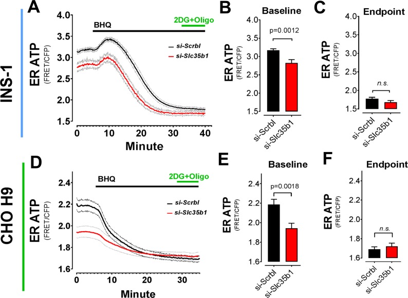 Figure 3—figure supplement 3.