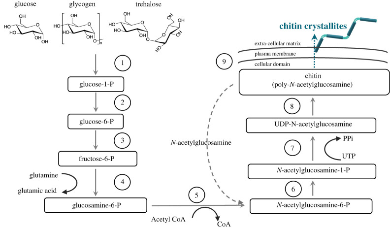 Figure 3. 