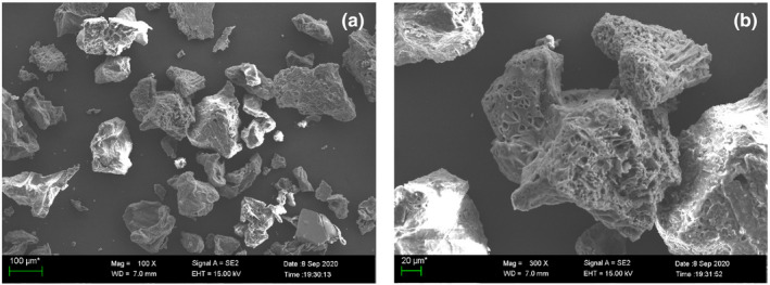 FIGURE 2