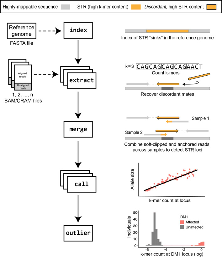 Fig. 2