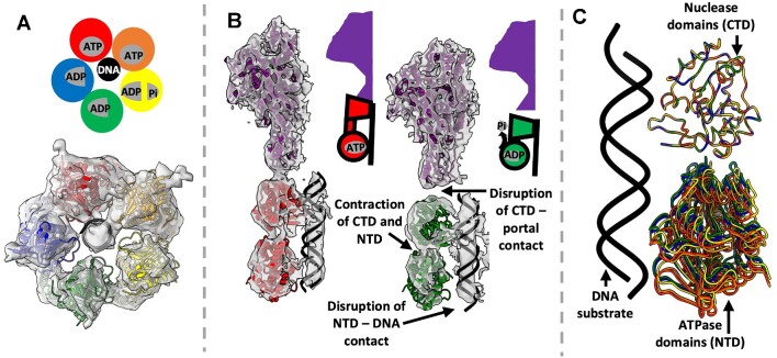 Figure 6.