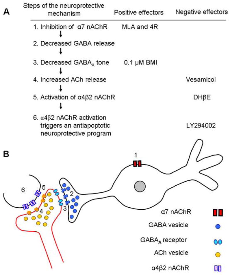 Fig. 8