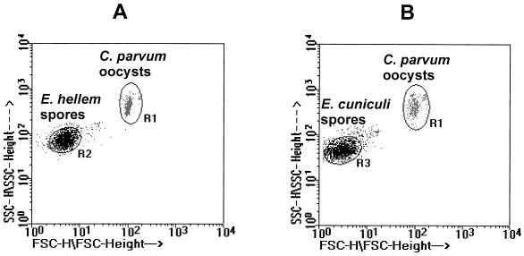 FIG. 1