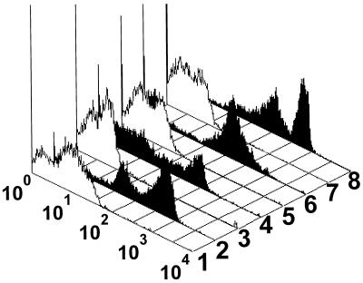 FIG. 3