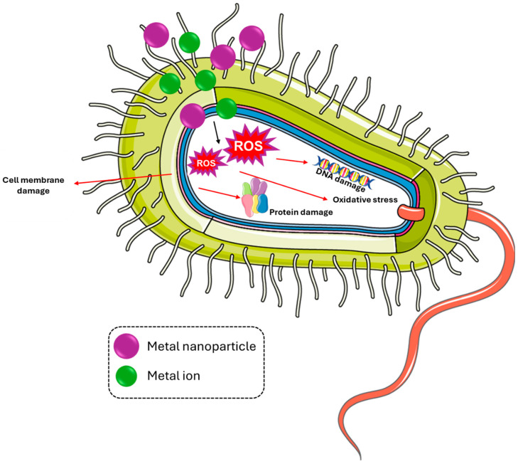 Figure 5