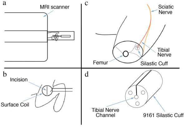 Figure 19