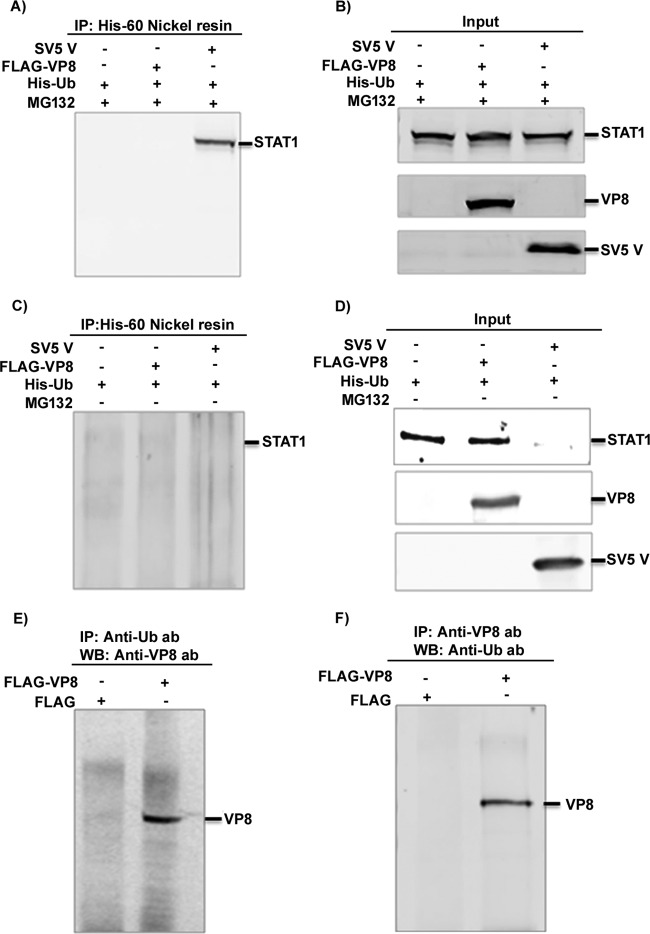 FIG 6