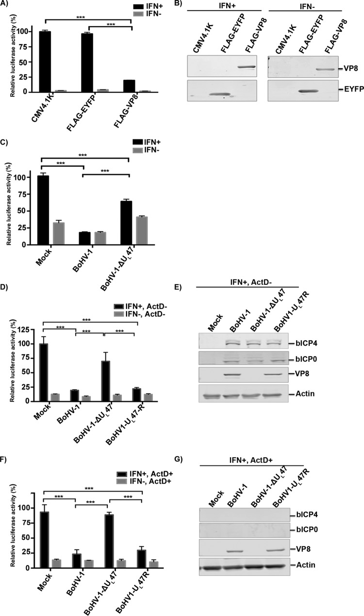 FIG 1