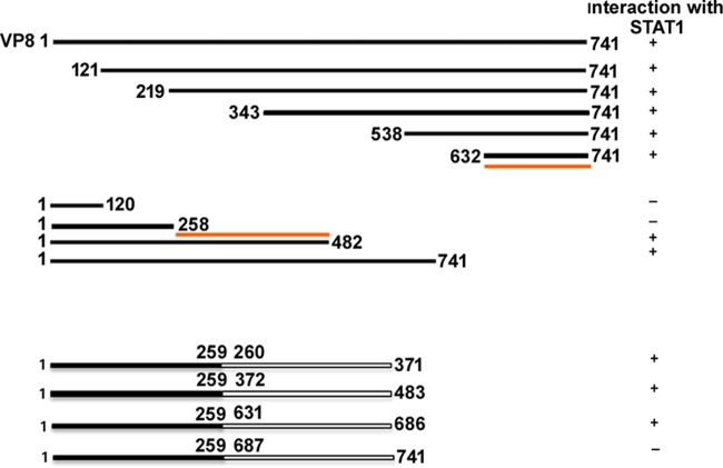 FIG 5