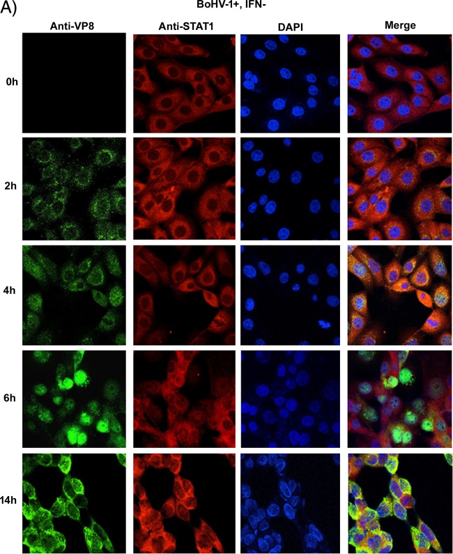 FIG 10