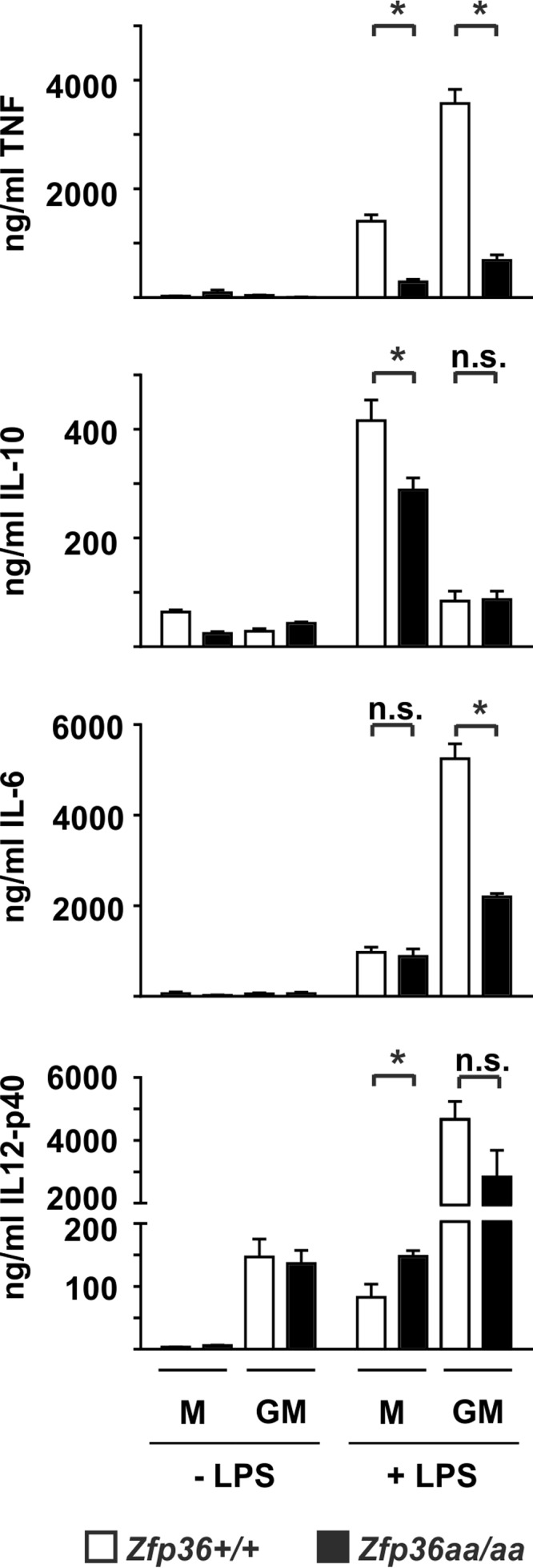 FIG 6