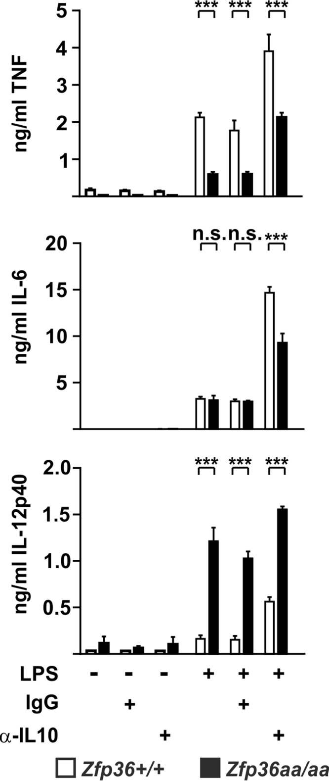 FIG 7