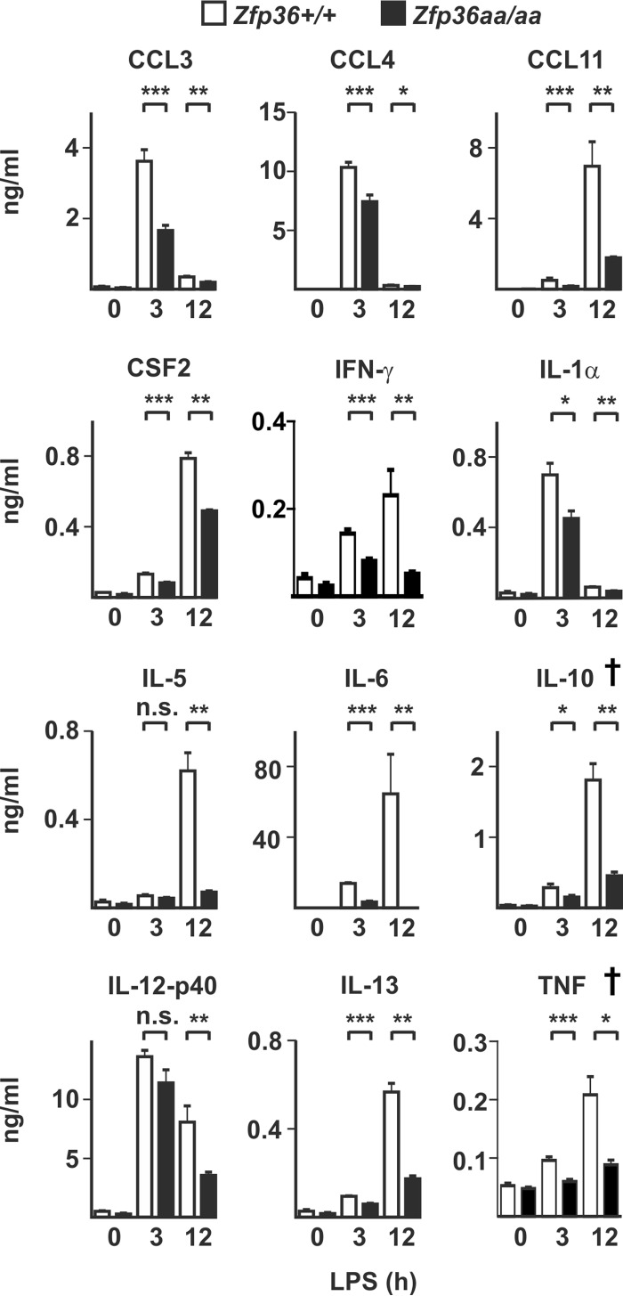 FIG 8