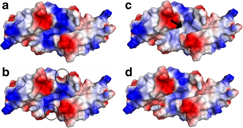 Fig. 9