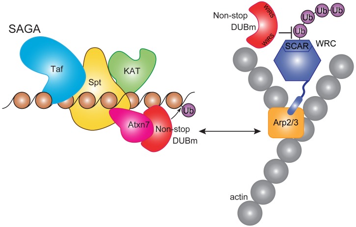 Figure 9.