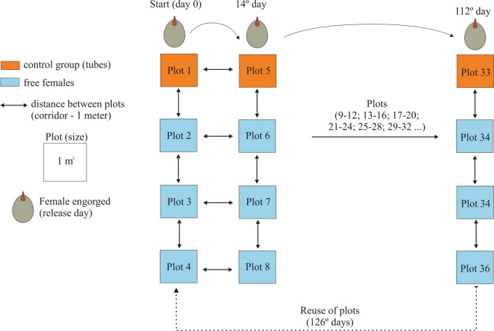 Figure 1