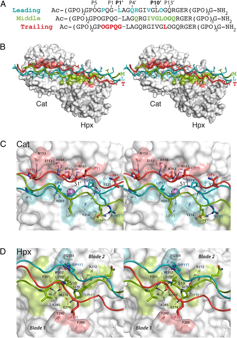 Fig. 4.