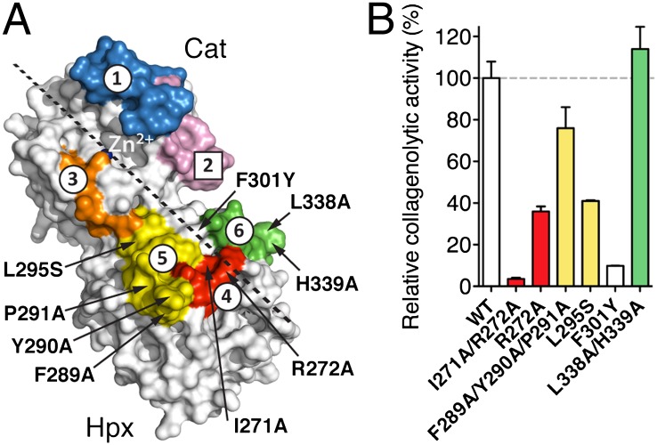 Fig. 3.