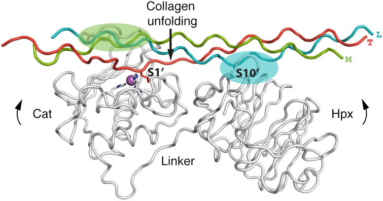 Fig. 6.