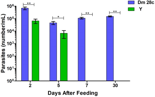 FIGURE 10