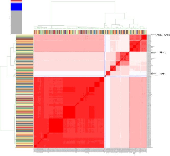 FIGURE 3