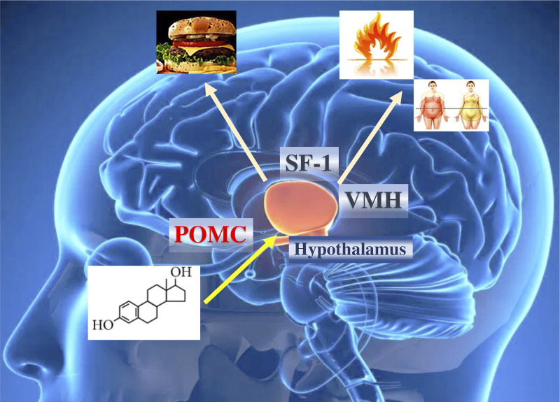 Figure 3