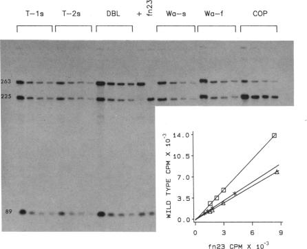 graphic file with name pnas00293-0226-a.jpg