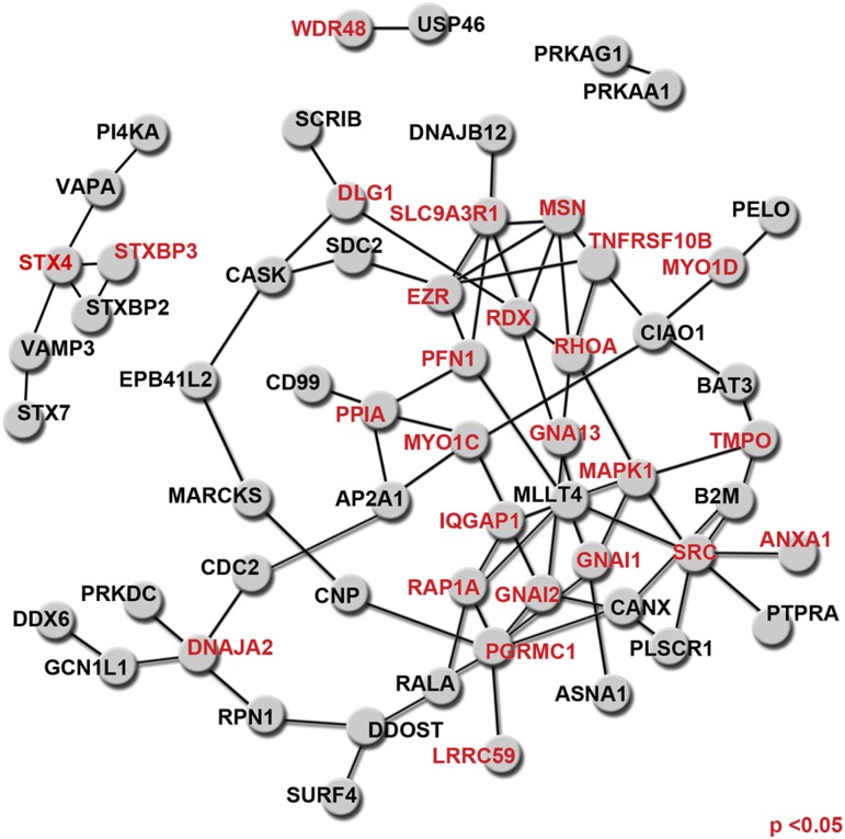 Fig. 4.