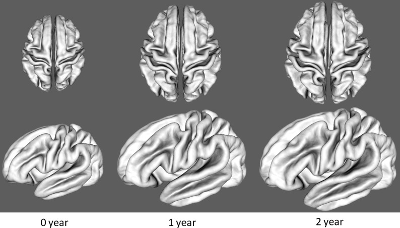 Figure 4.