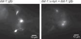 Extended Data Fig. 4