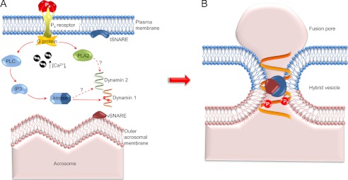 FIGURE 10.