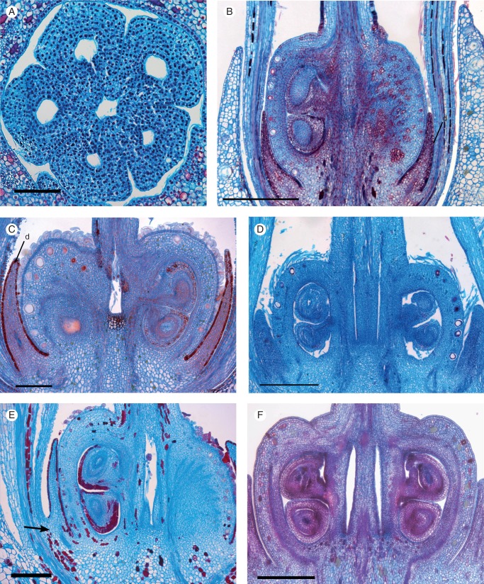 Fig. 7.