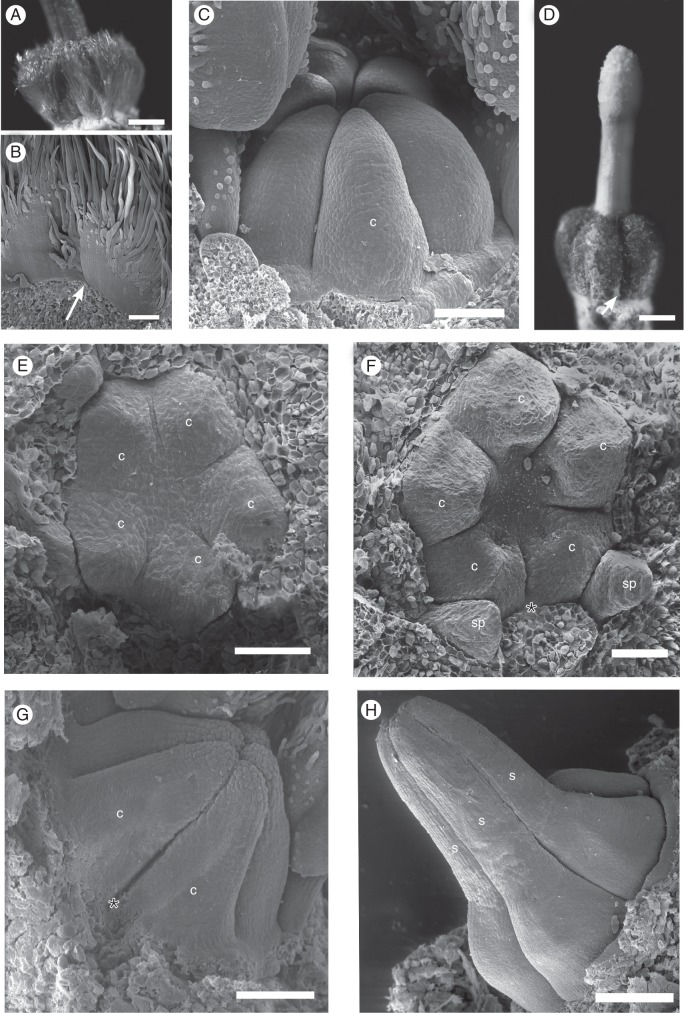 Fig. 9.