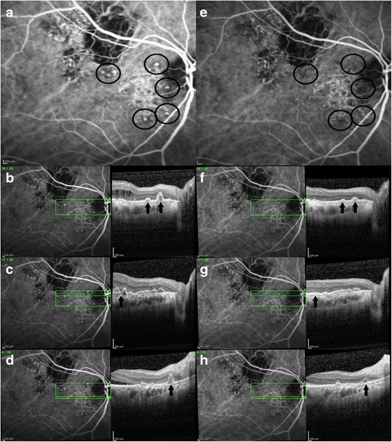 Fig. 4