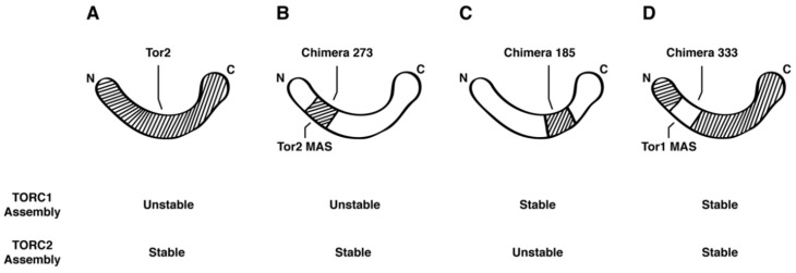 Figure 8