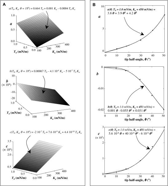 APPENDIX FIGURE 1