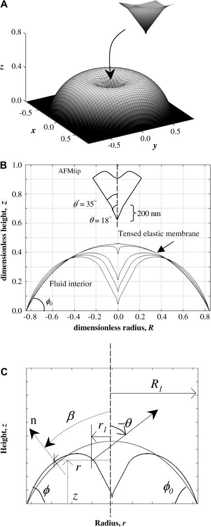 FIGURE 3