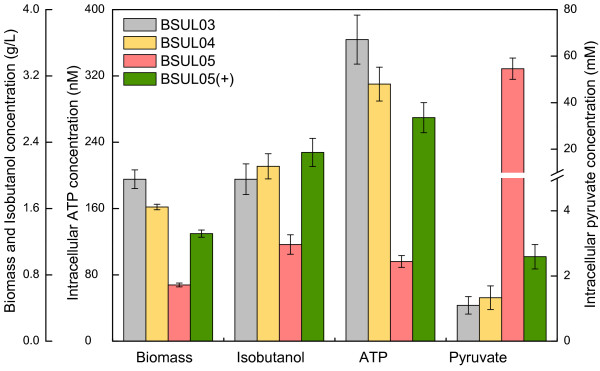 Figure 4 