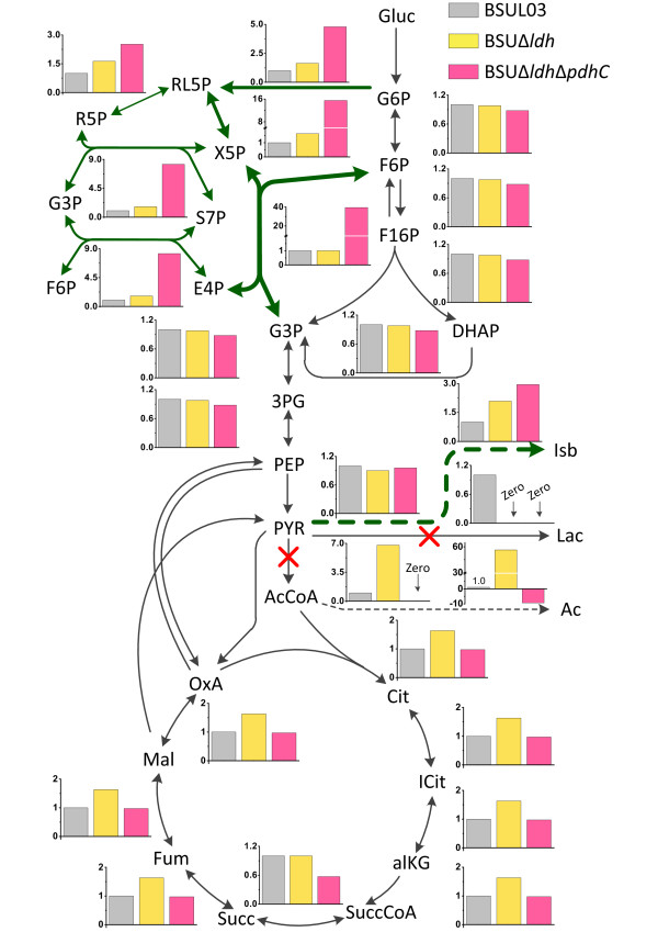 Figure 2 